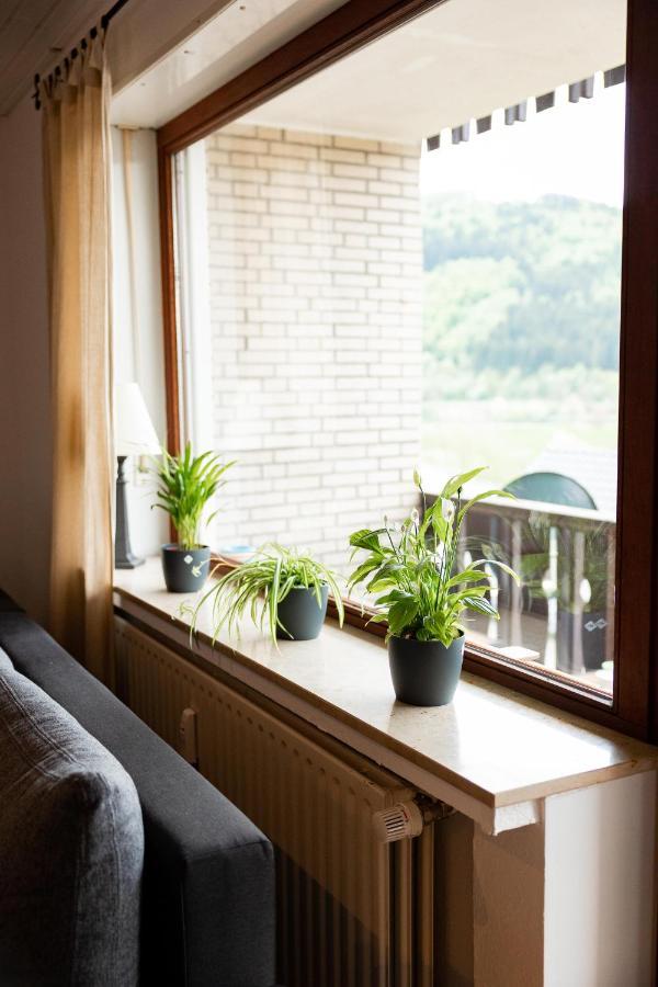 Ferienwohnung Mit Seeblick — Sport Und Erholung Winterberg Zewnętrze zdjęcie
